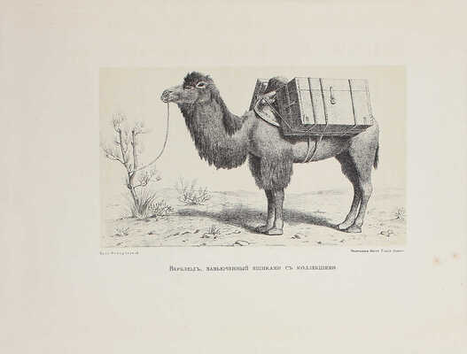 Пржевальский Н.М. Из Зайсана через Хами в Тибет и на верховья Желтой реки. СПб.: Изд. Имп. Рус. геогр. о-ва, 1883.